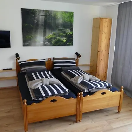 Apartment Fernblick Im Geyersberg *