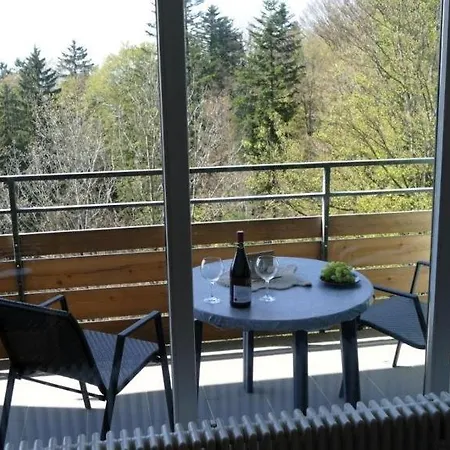 公寓 Fernblick Im Geyersberg *